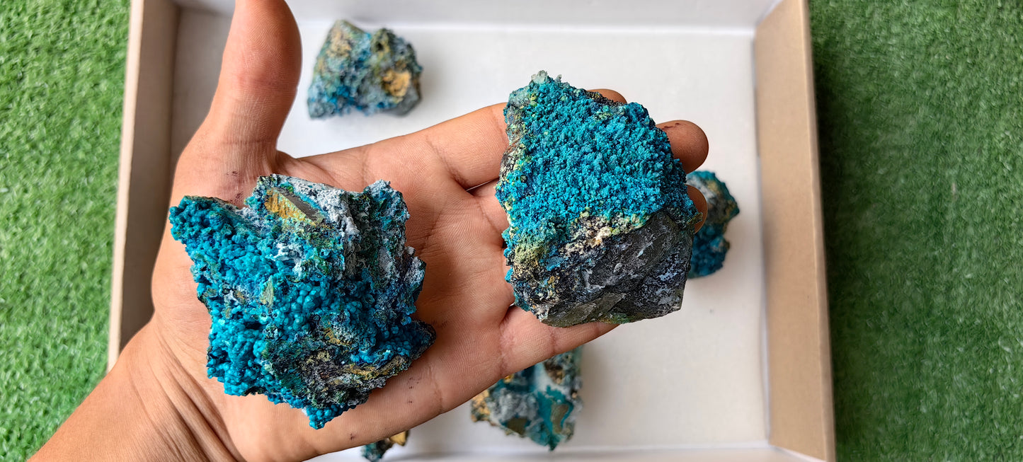 Lot 10 Chrysocolla on Quartz