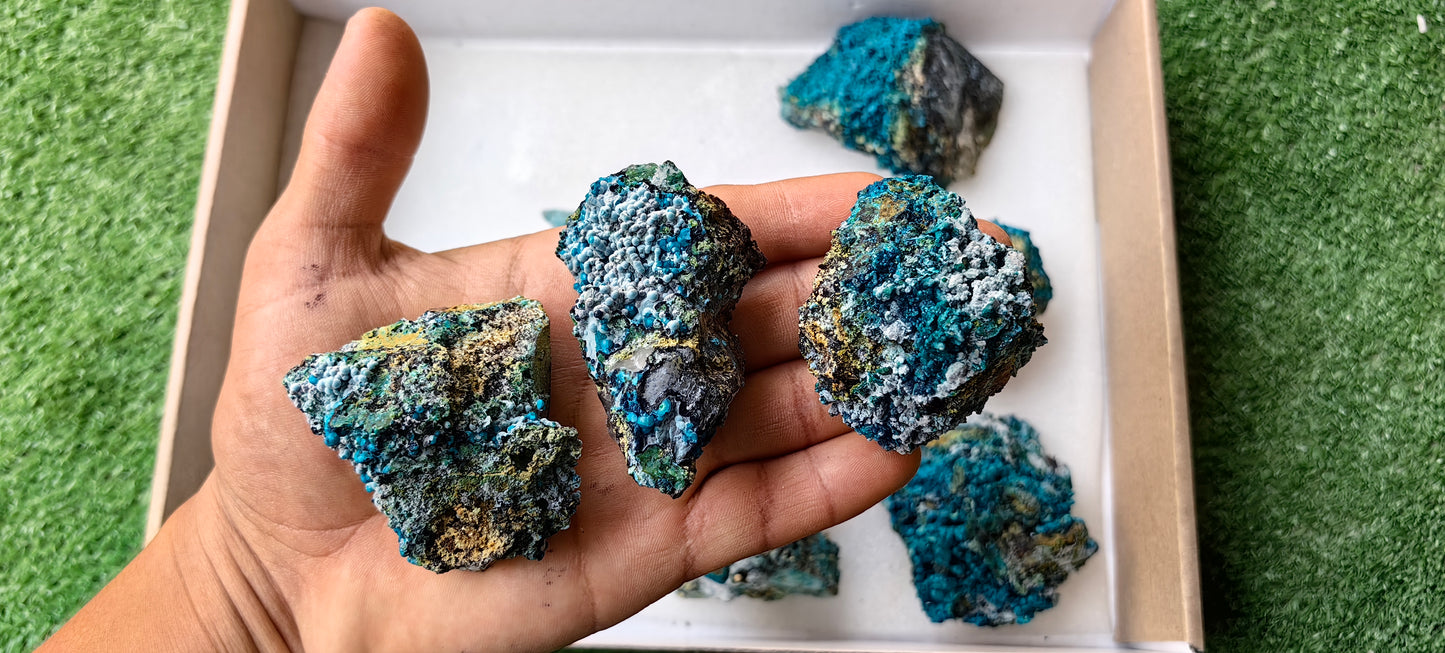 Lot 10 Chrysocolla on Quartz