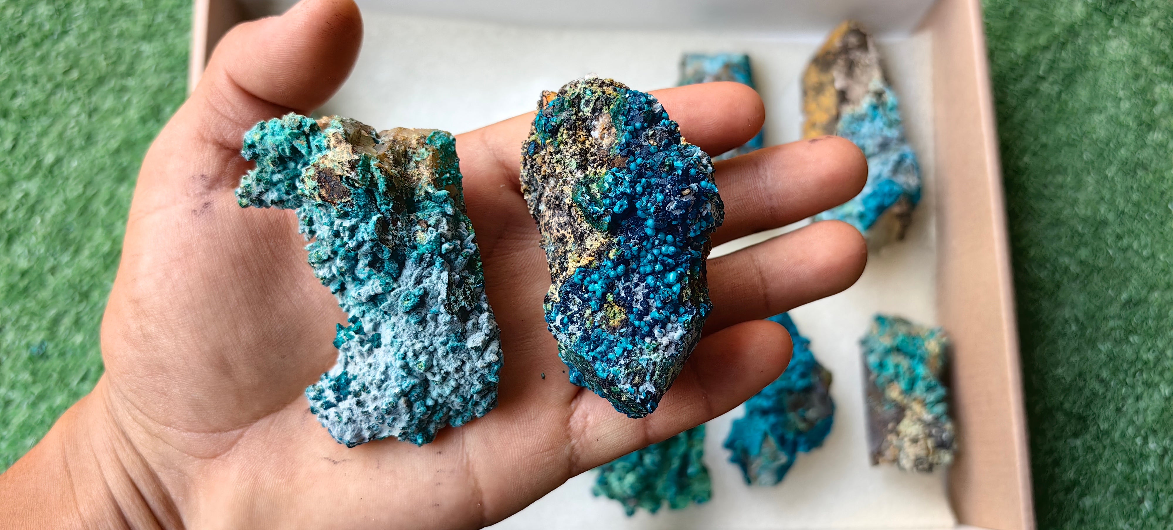 Lot 10 Chrysocolla on Quartz