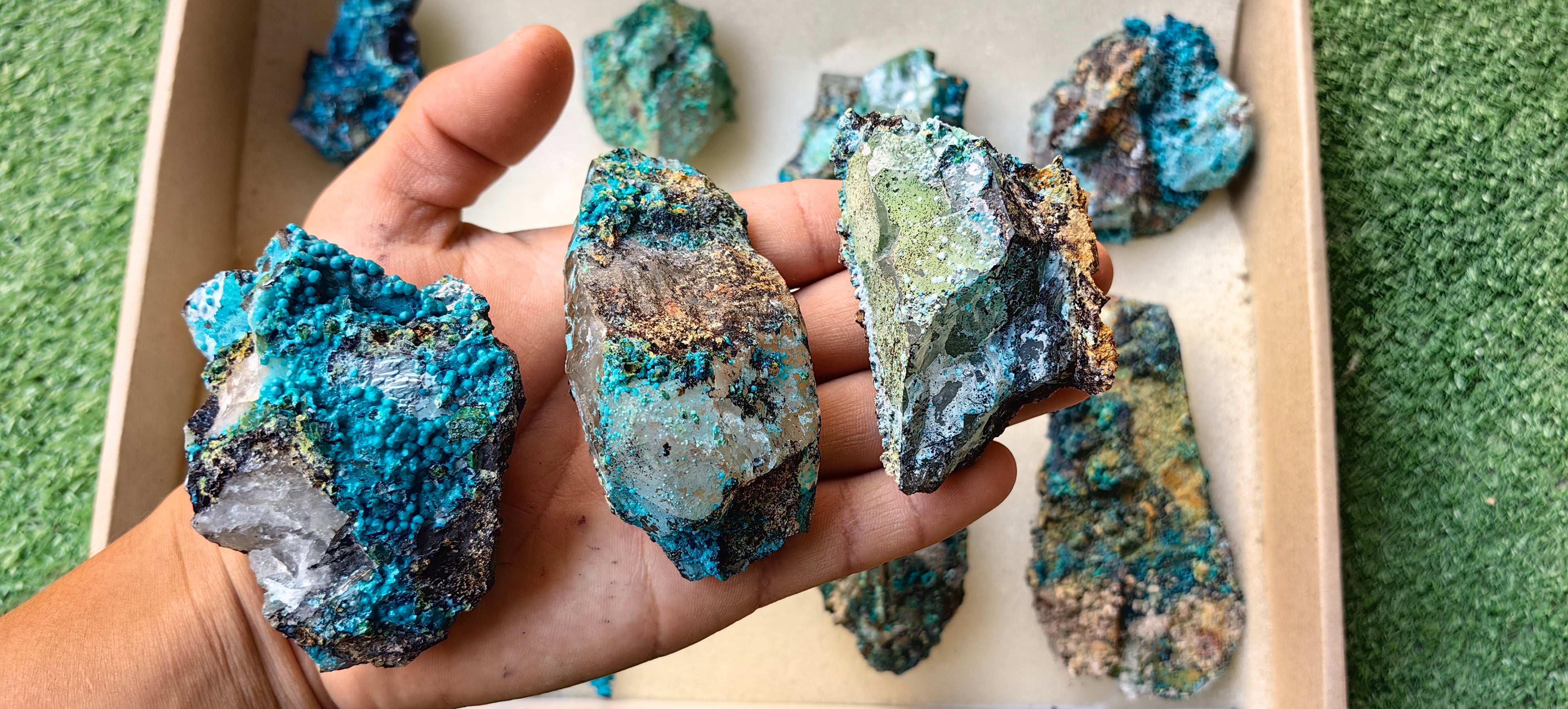 Lot 10 Chrysocolla on Quartz