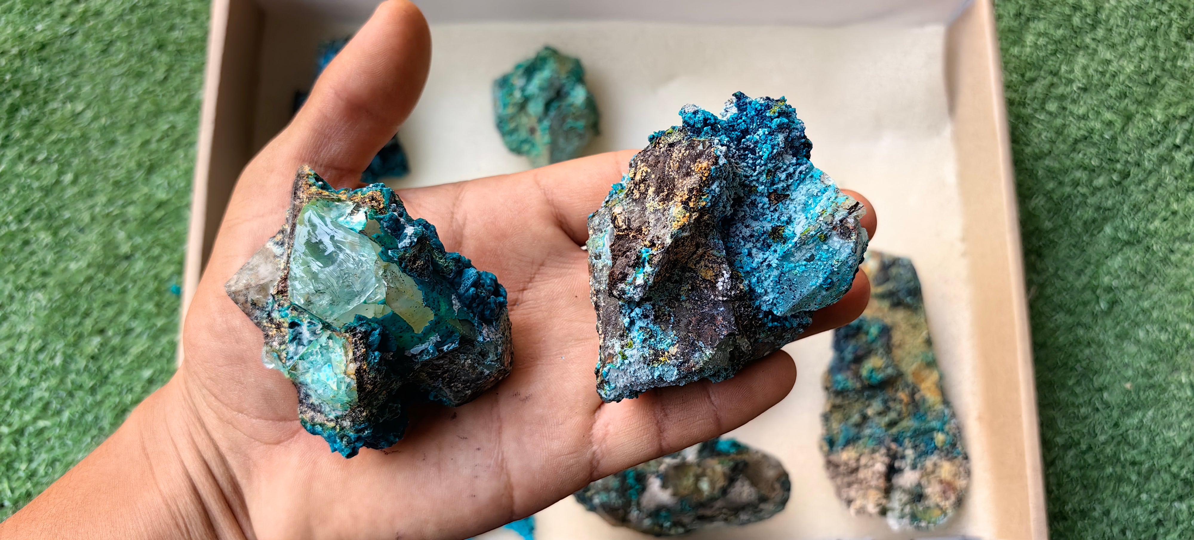 Lot 10 Chrysocolla on Quartz