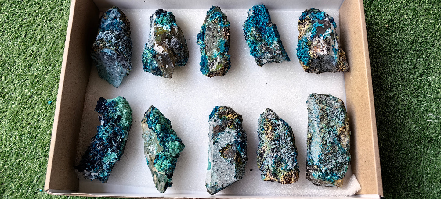 Lot 10 Chrysocolla on Quartz