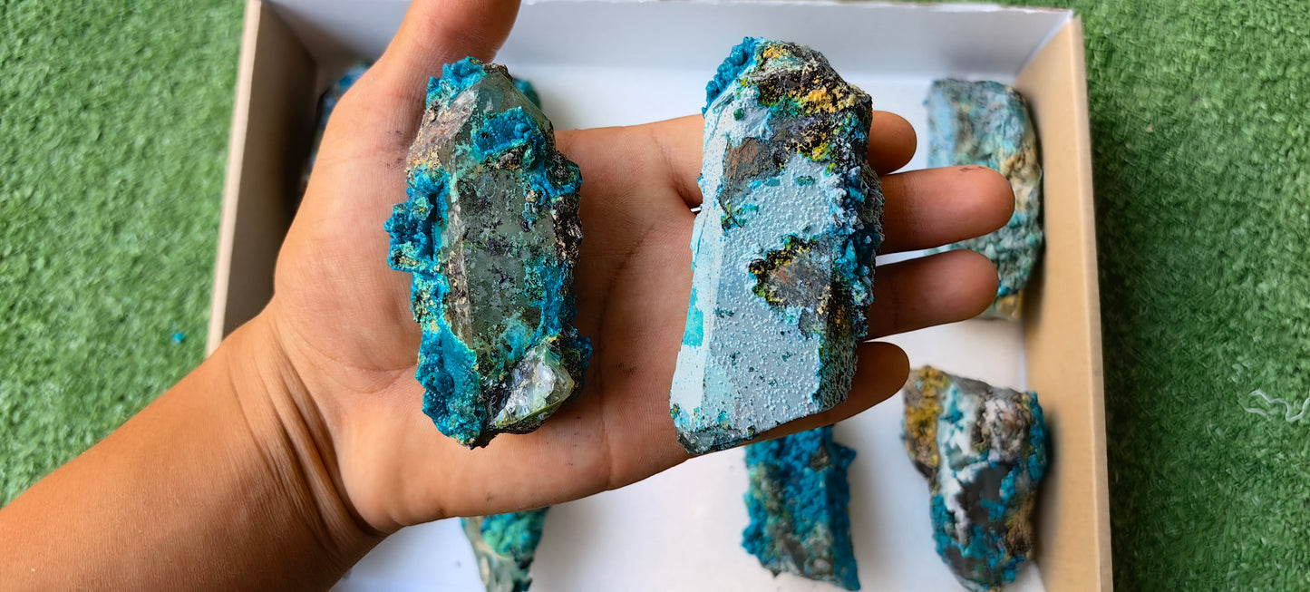 Lot 10 Chrysocolla on Quartz