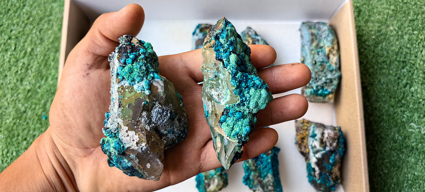 Lot 10 Chrysocolla on Quartz