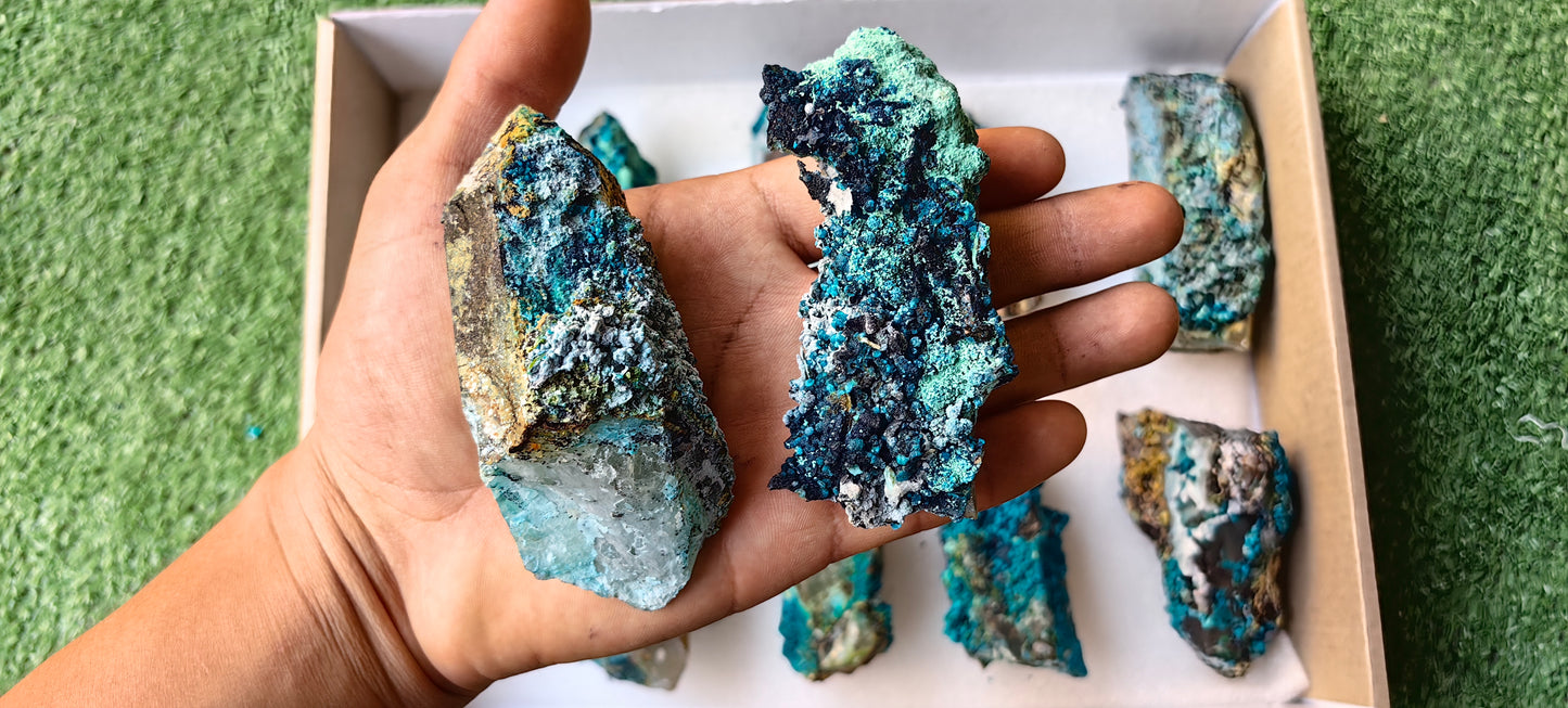 Lot 10 Chrysocolla on Quartz