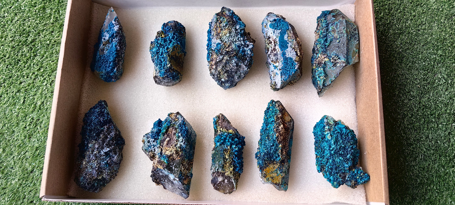 Lot 10 Chrysocolla on Quartz