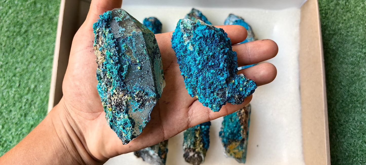 Lot 10 Chrysocolla on Quartz