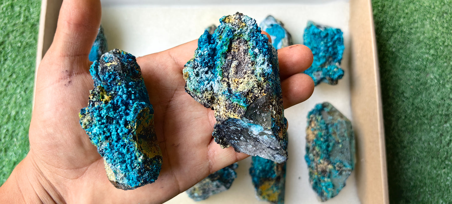 Lot 10 Chrysocolla on Quartz