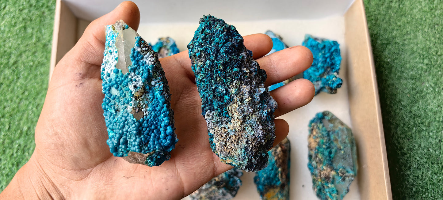 Lot 10 Chrysocolla on Quartz