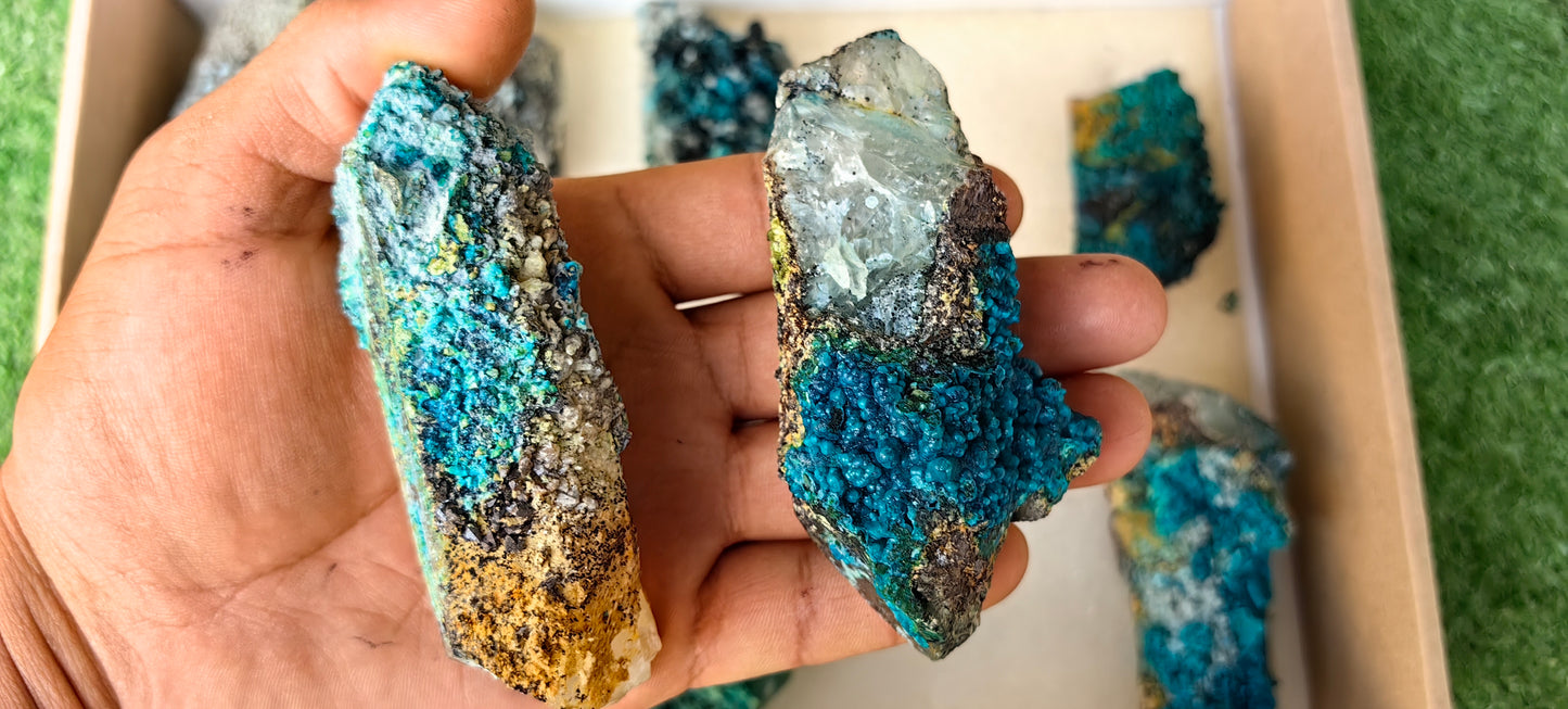 Lot 10 Chrysocolla on Quartz