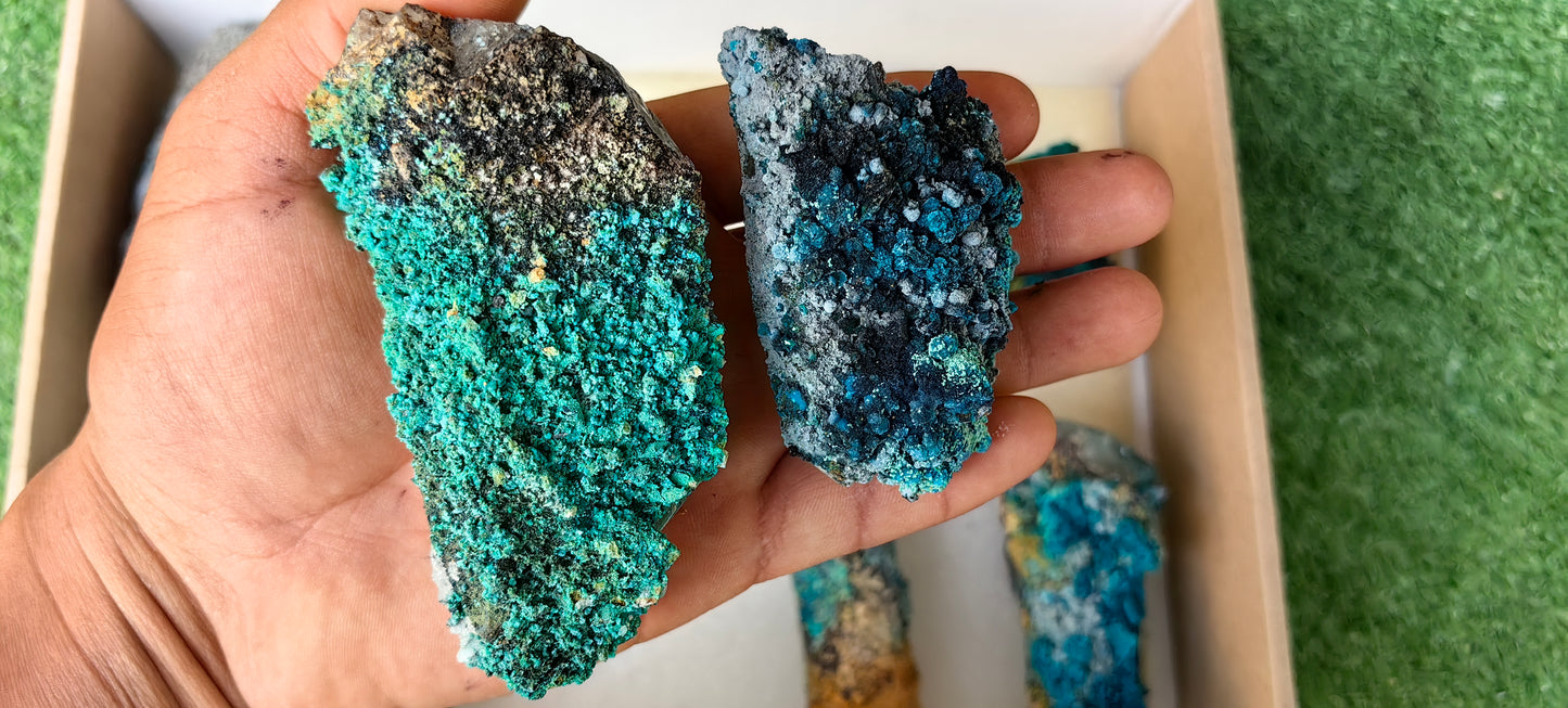 Lot 10 Chrysocolla on Quartz