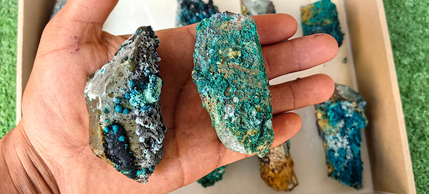 Lot 10 Chrysocolla on Quartz