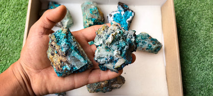 Lot 8 Chrysocolla on Quartz