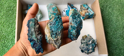 Lot 8 Chrysocolla on Quartz