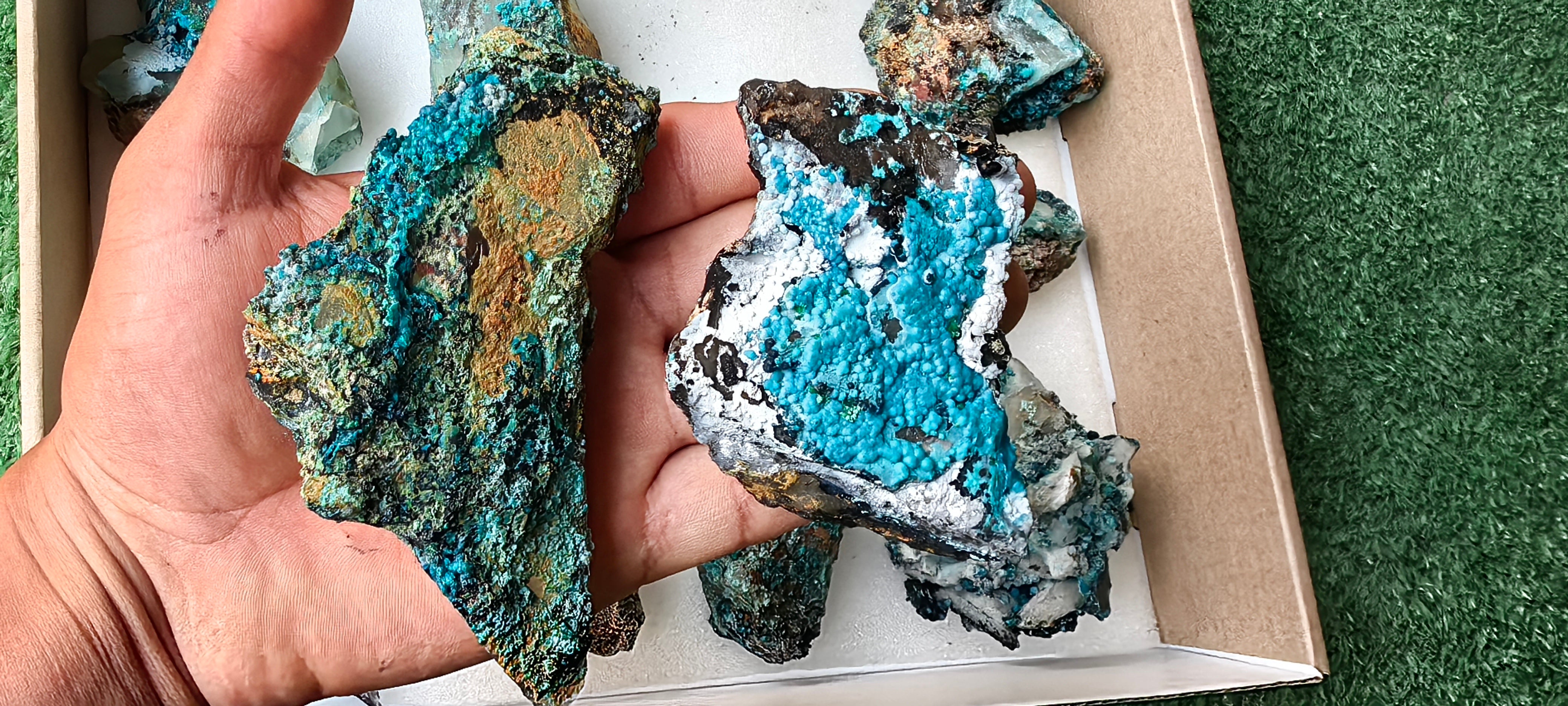 Lot 10 Chrysocolla on Quartz