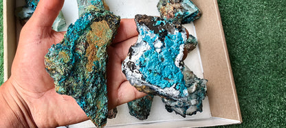 Lot 8 Chrysocolla on Quartz