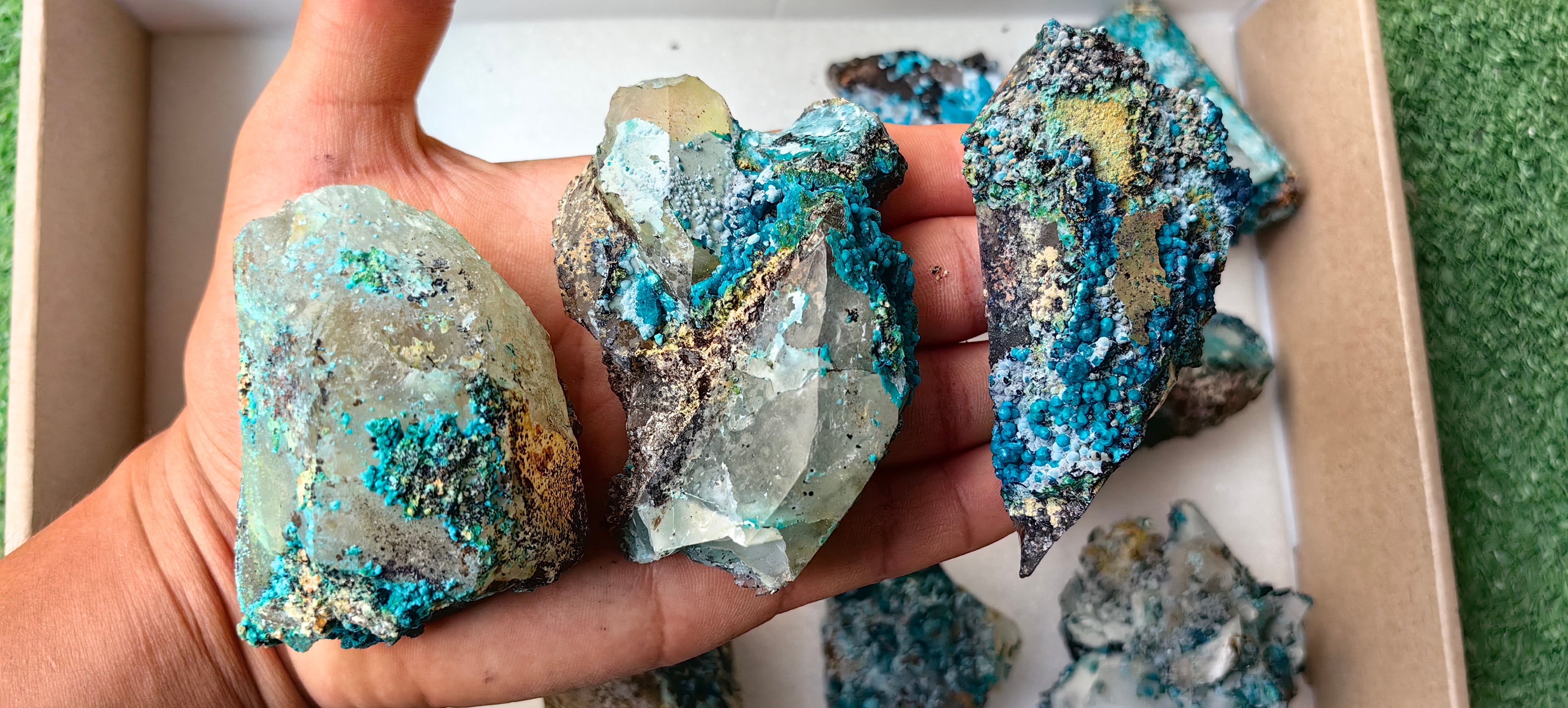 Lot 10 Chrysocolla on Quartz