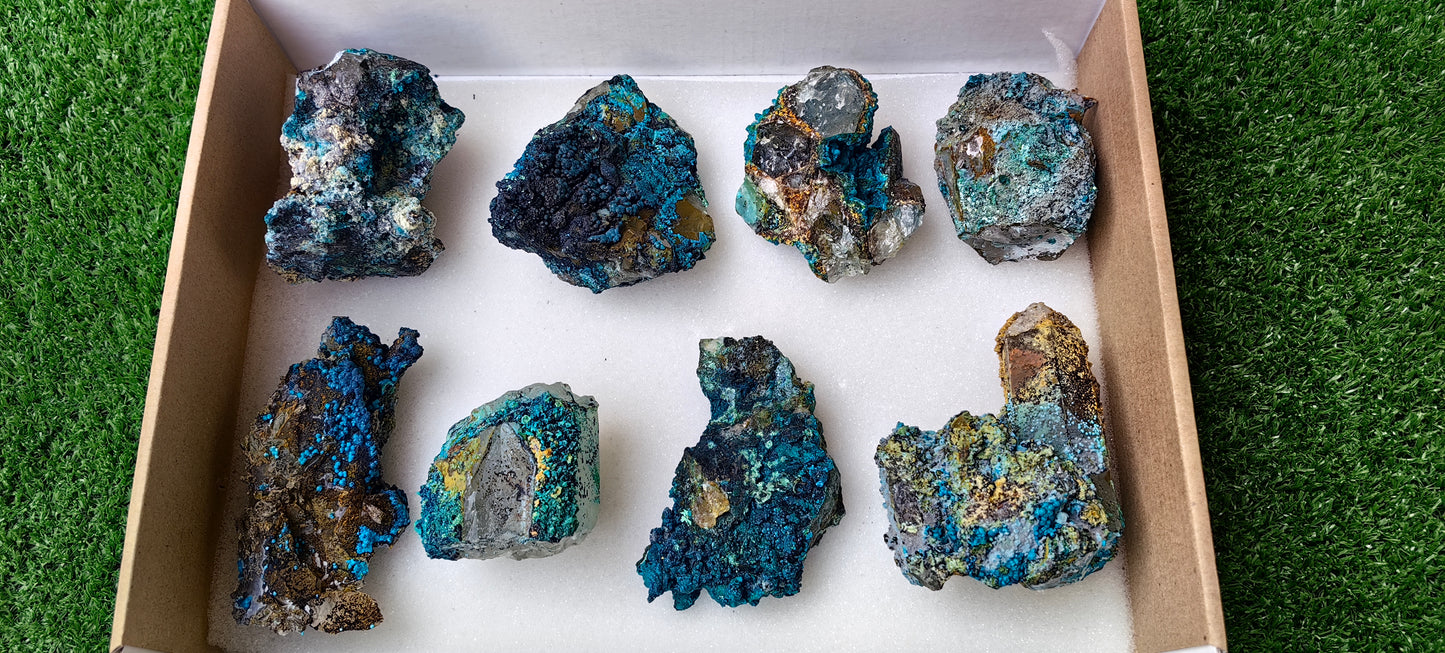 Lot 8 Chrysocolla on Quartz