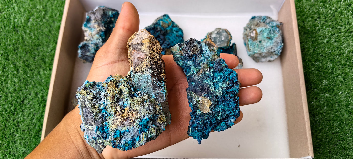 Lot 8 Chrysocolla on Quartz