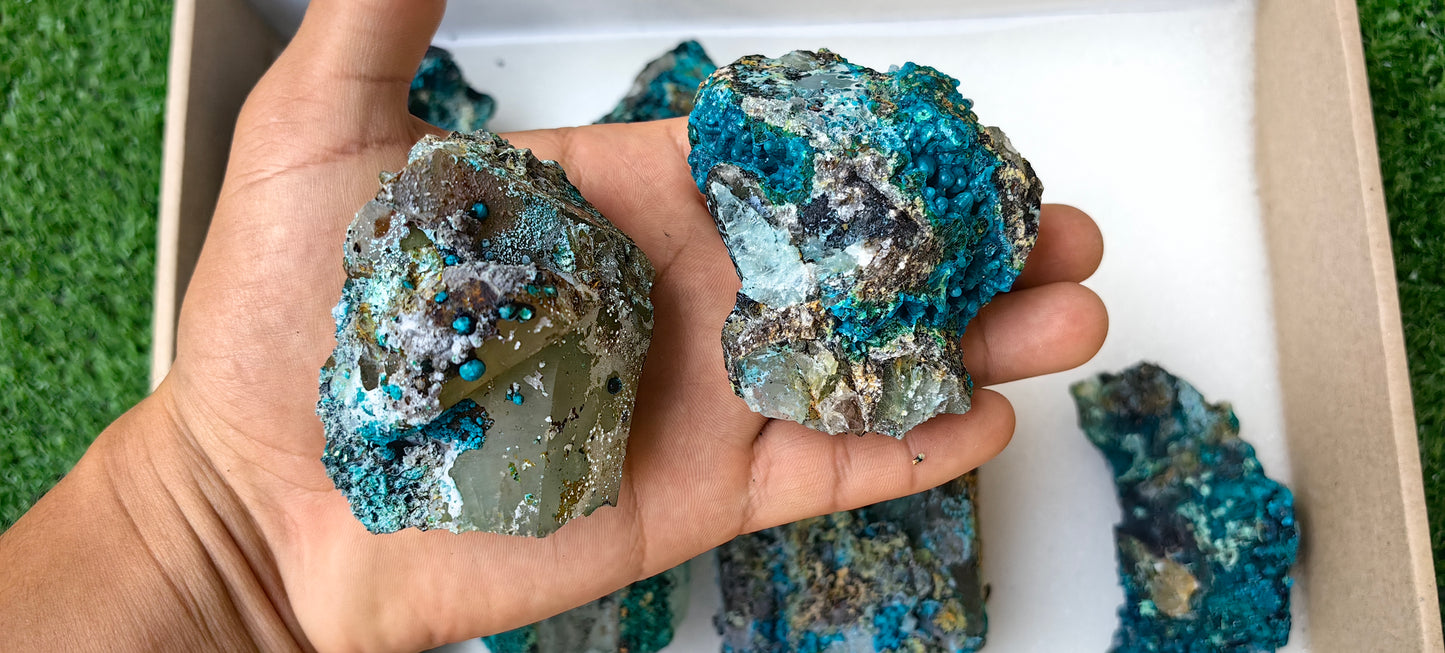 Lot 8 Chrysocolla on Quartz