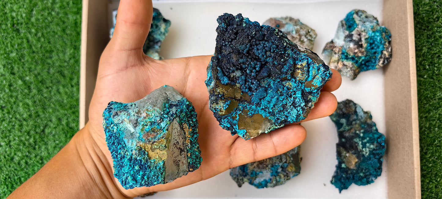 Lot 8 Chrysocolla on Quartz