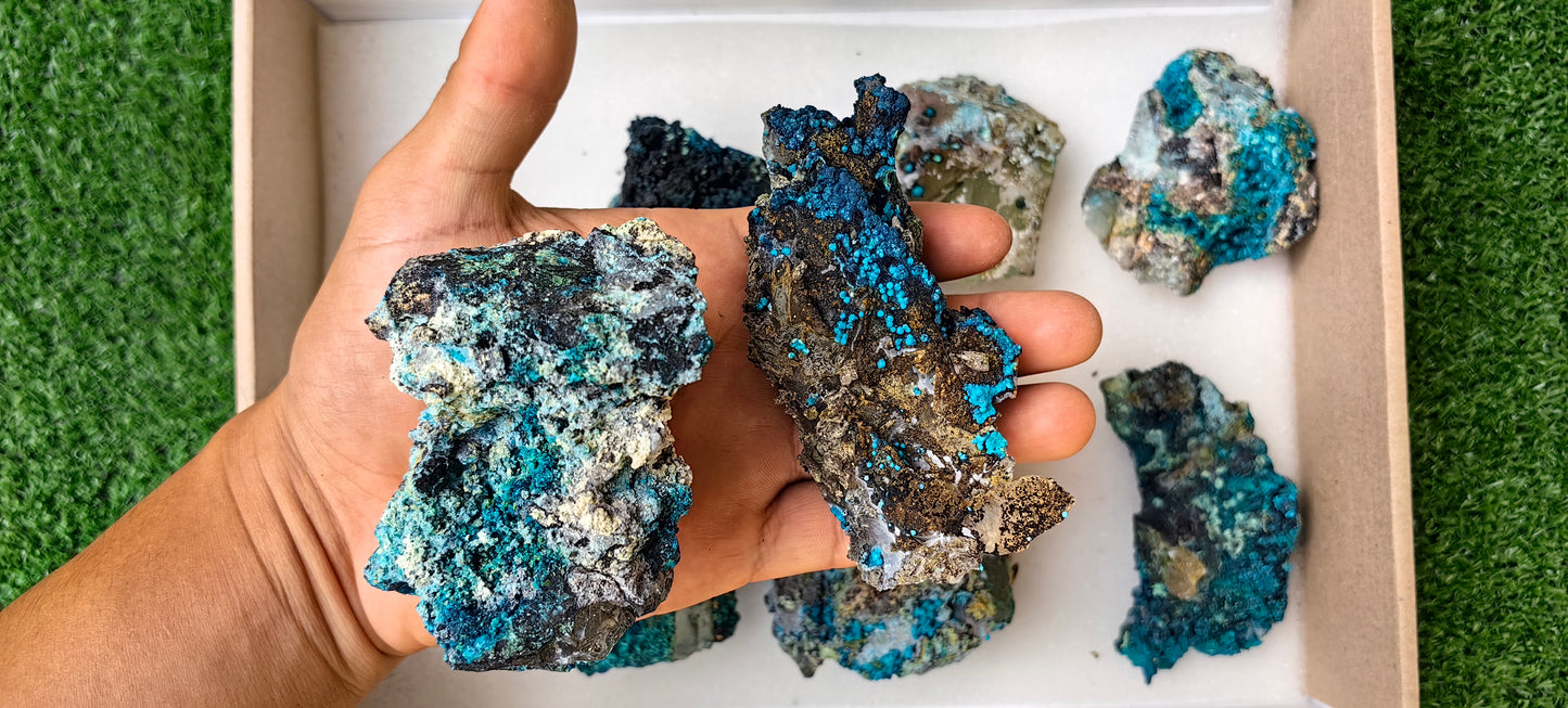 Lot 8 Chrysocolla on Quartz