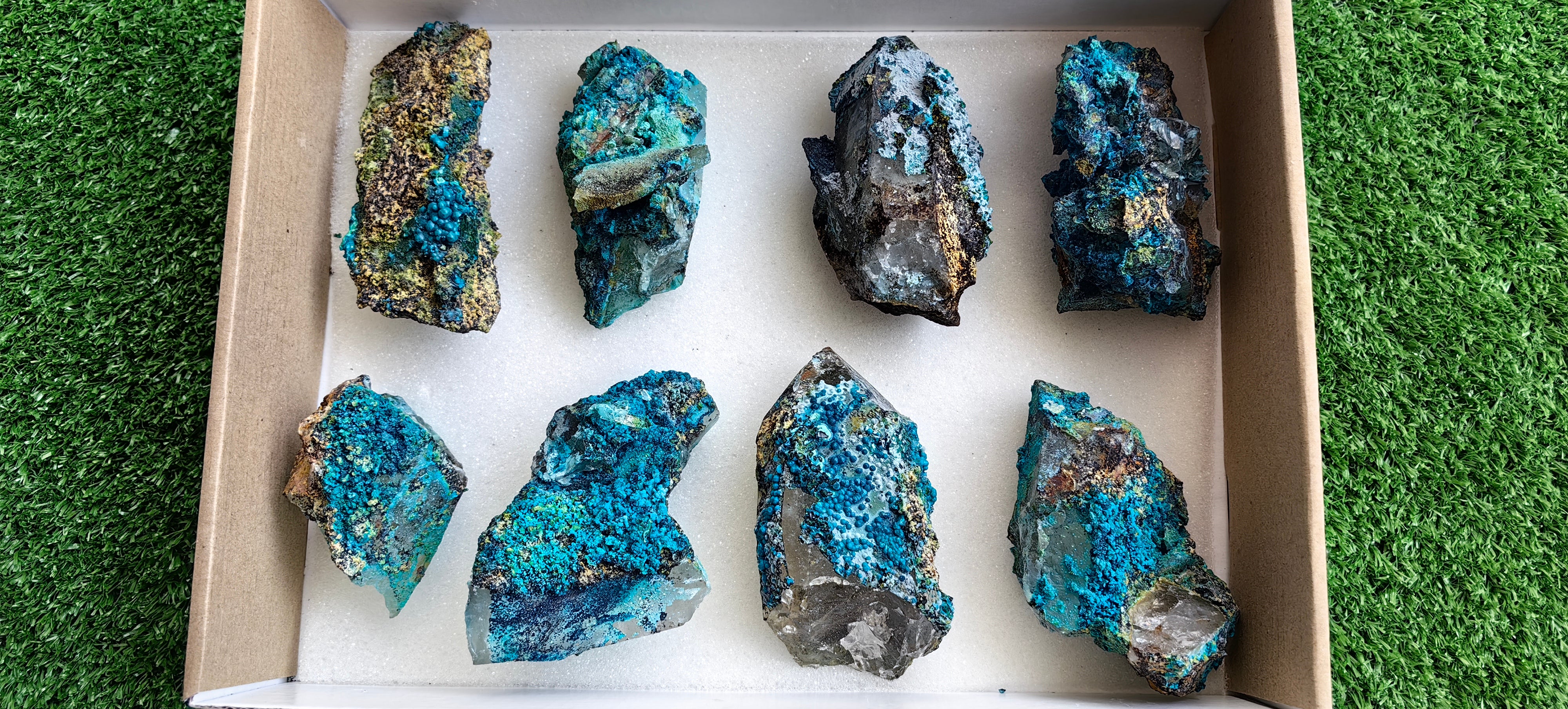 Lot 8 Chrysocolla on Quartz