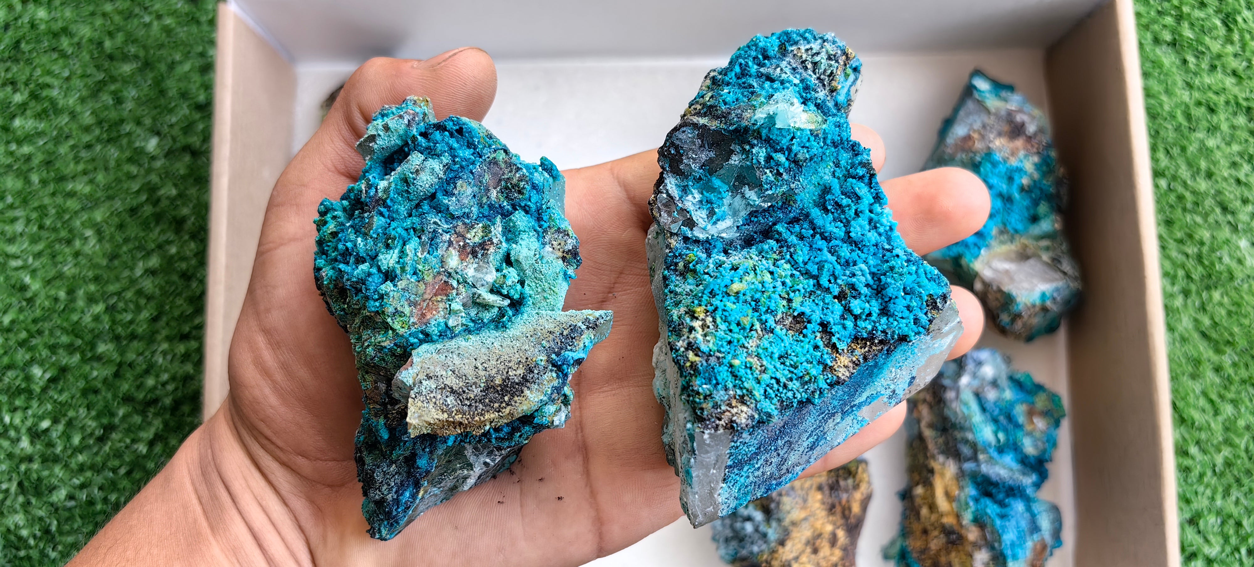 Lot 8 Chrysocolla on Quartz