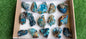 Lot 15 Chrysocolla on Quartz