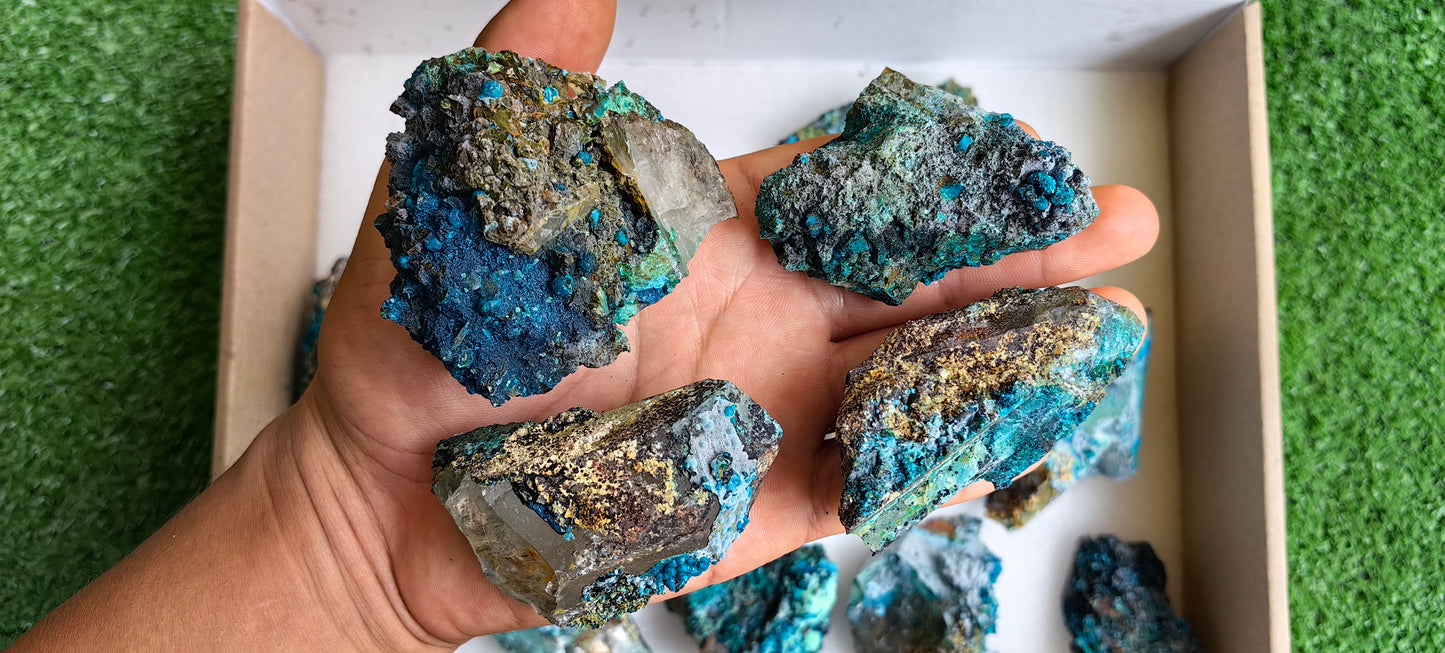 Lot 15 Chrysocolla on Quartz