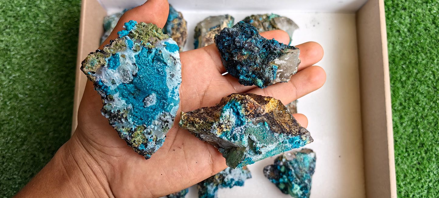 Lot 15 Chrysocolla on Quartz