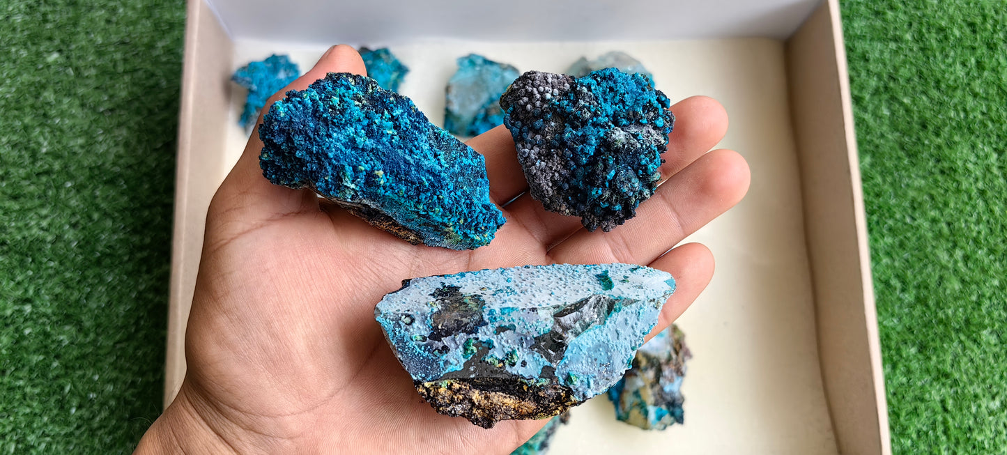 Lot 15 Chrysocolla on Quartz