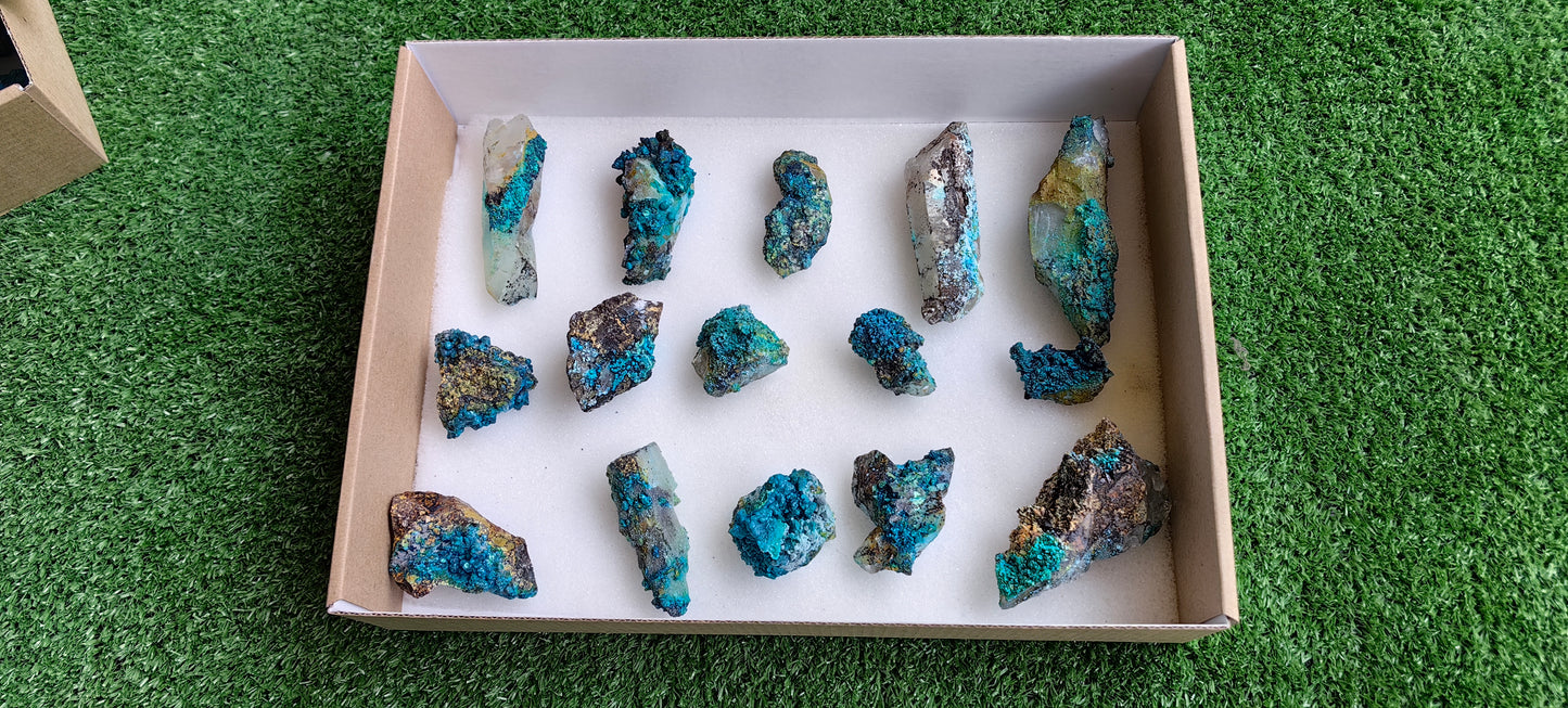 Lot 15 Chrysocolla on Quartz