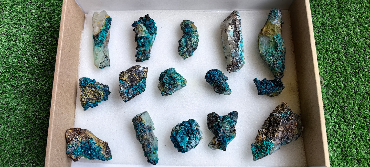 Lot 15 Chrysocolla on Quartz