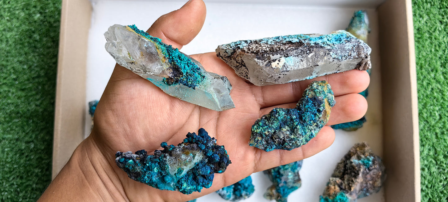 Lot 15 Chrysocolla on Quartz