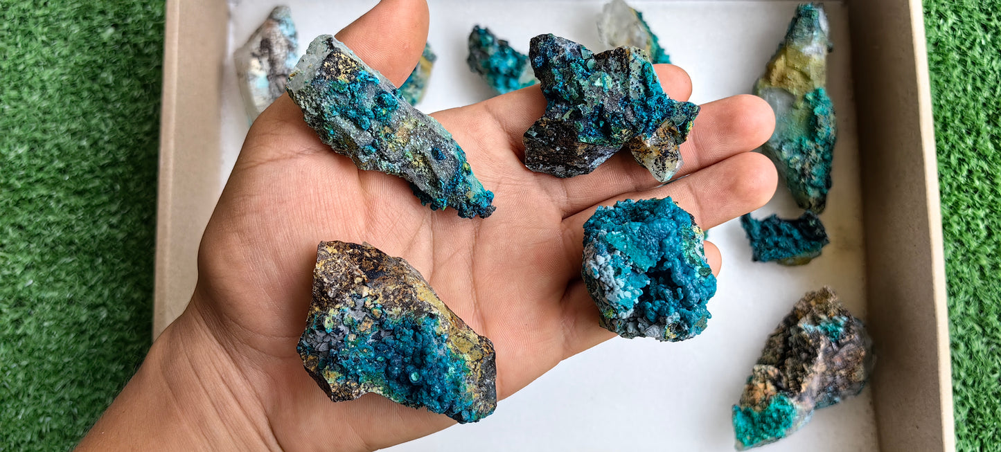 Lot 15 Chrysocolla on Quartz