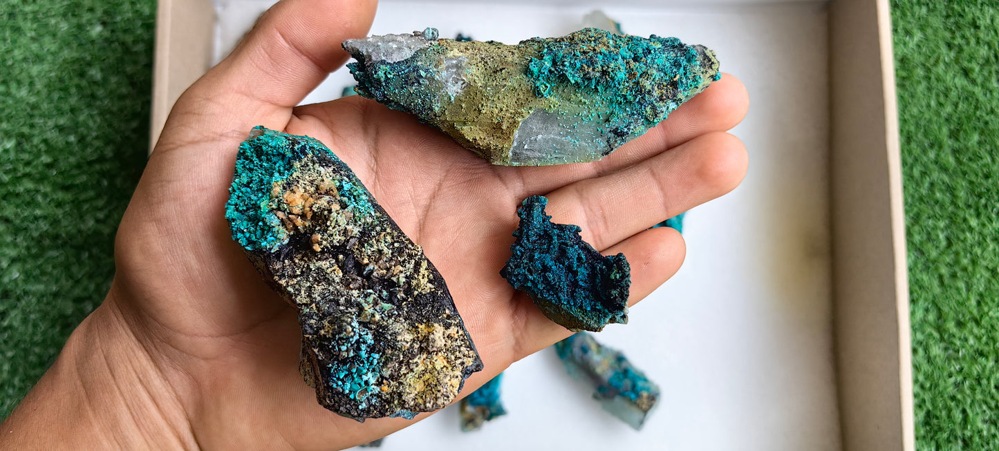 Lot 15 Chrysocolla on Quartz