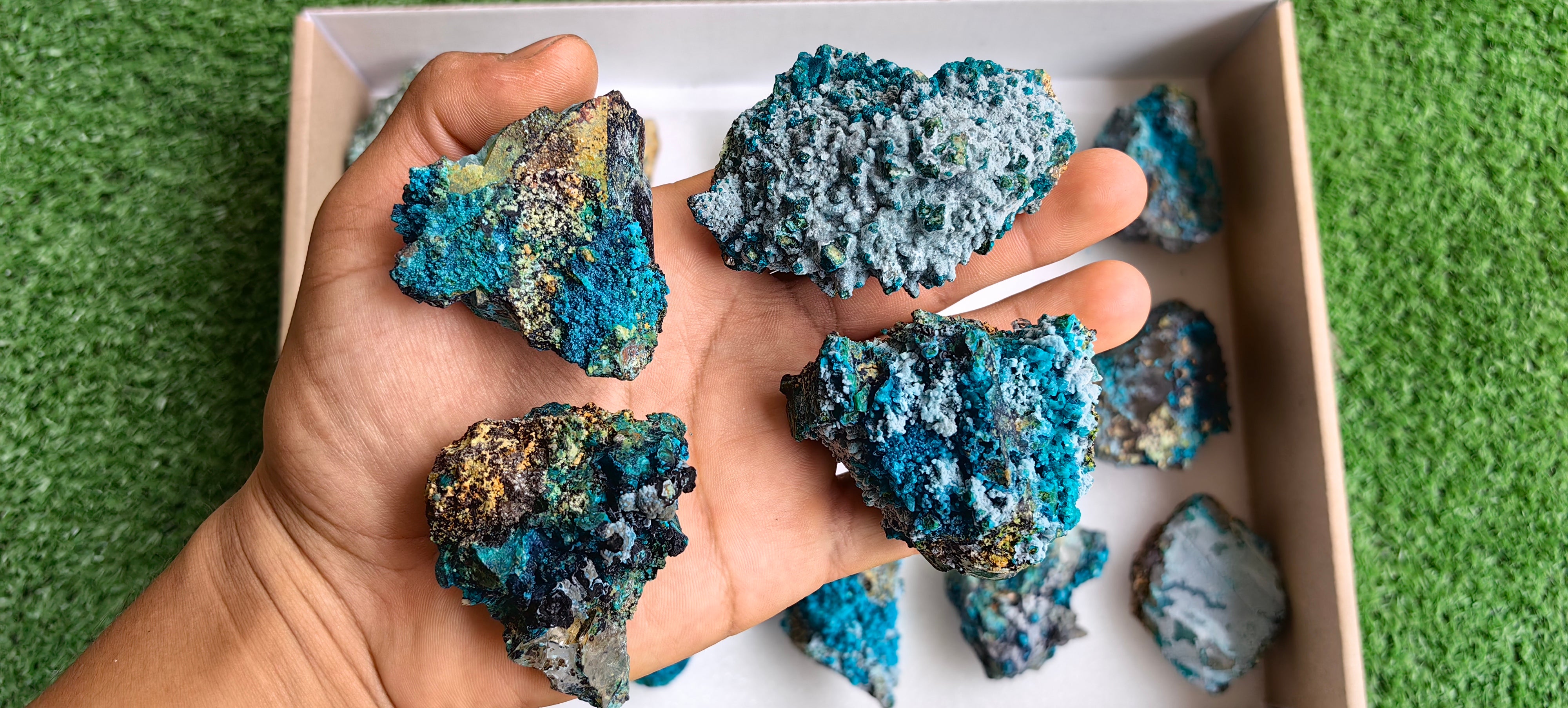 Lot 15 Chrysocolla on Quartz