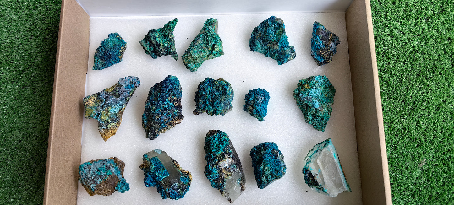 Lot 15 Chrysocolla on Quartz