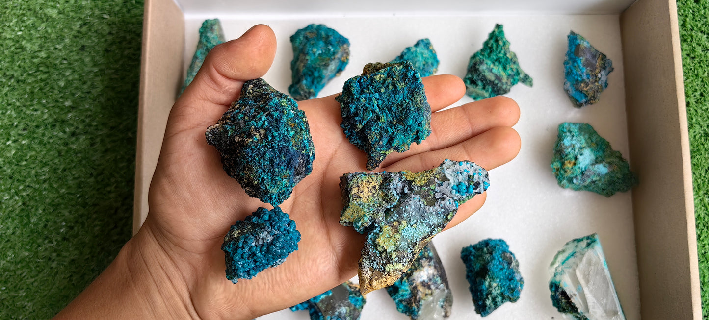 Lot 15 Chrysocolla on Quartz