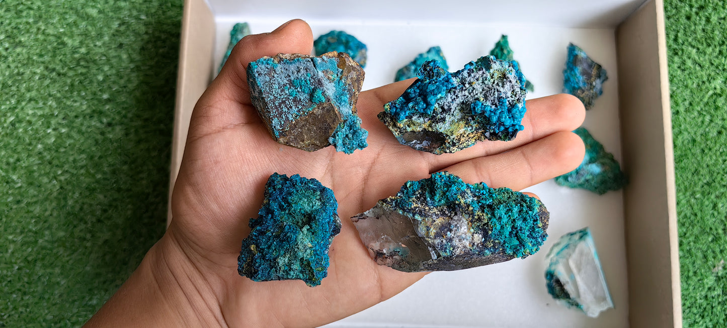 Lot 15 Chrysocolla on Quartz