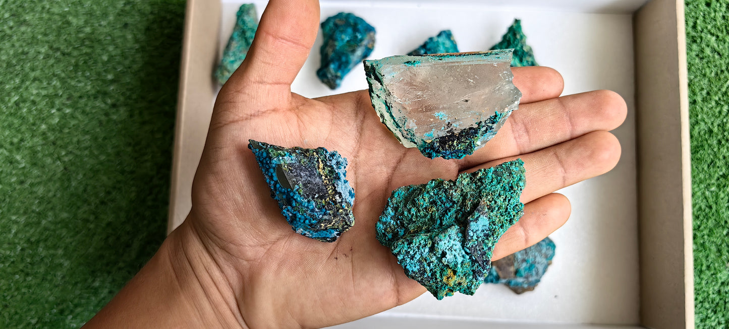 Lot 15 Chrysocolla on Quartz