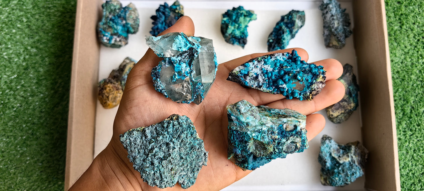 Lot 15 Chrysocolla on Quartz