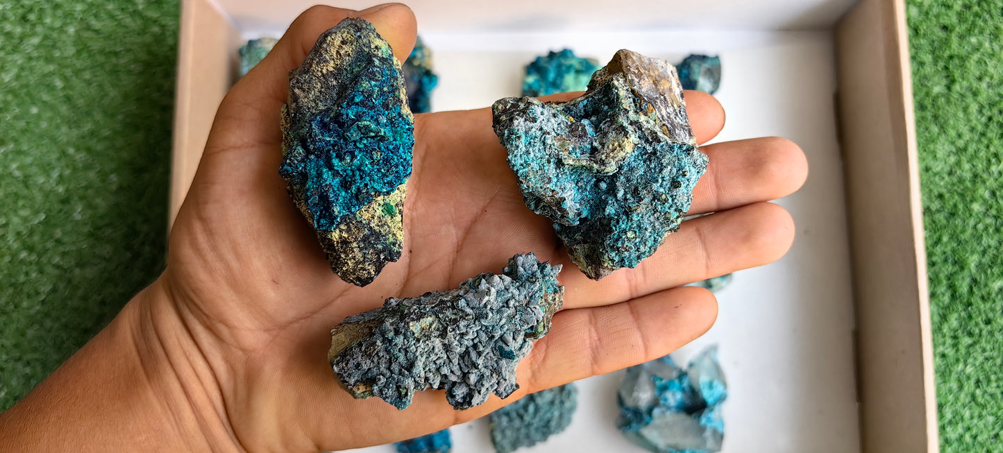 Lot 15 Chrysocolla on Quartz