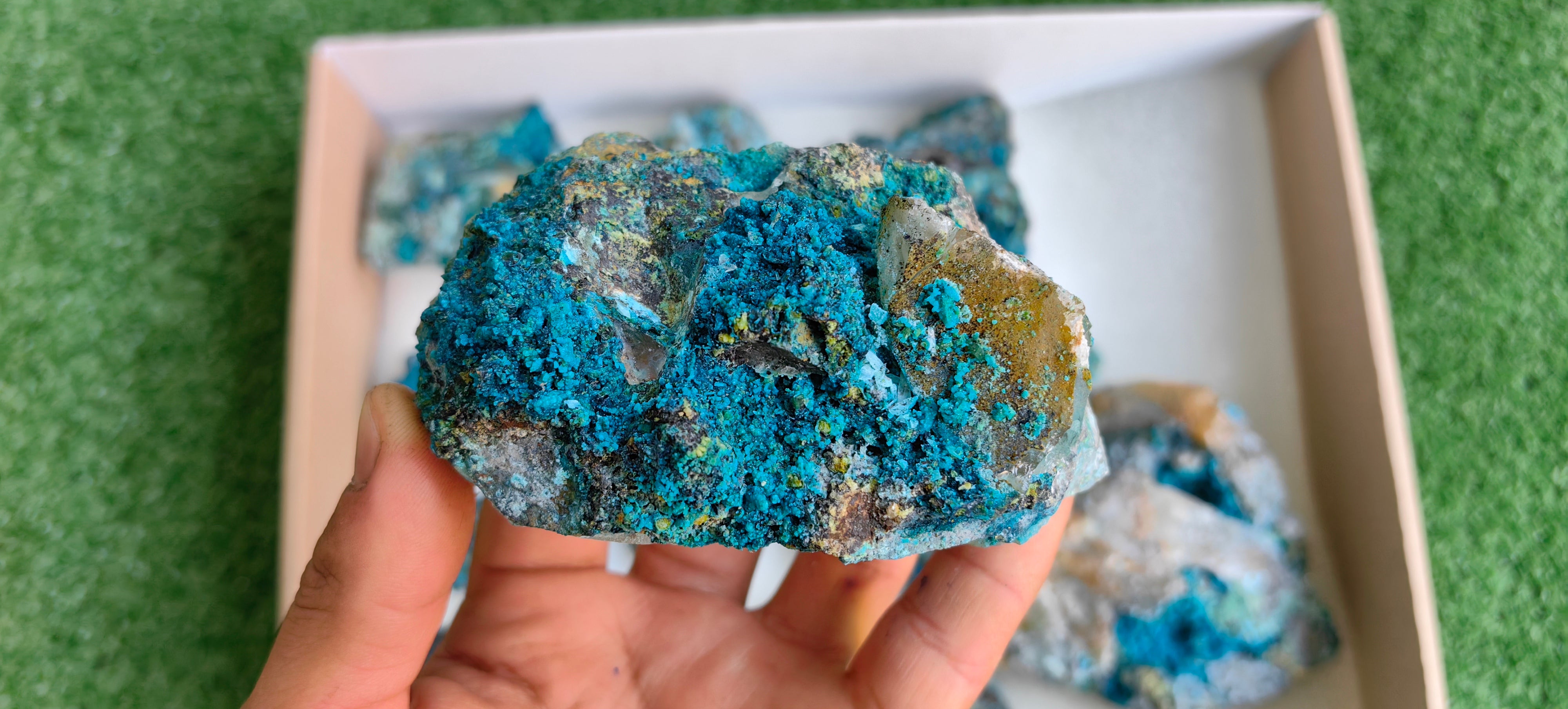 Lot 16 Chrysocolla on Quartz