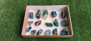 Lot 16 Chrysocolla on Quartz