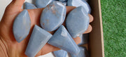 Lot 27 pcs Angelite Free Form Faceted