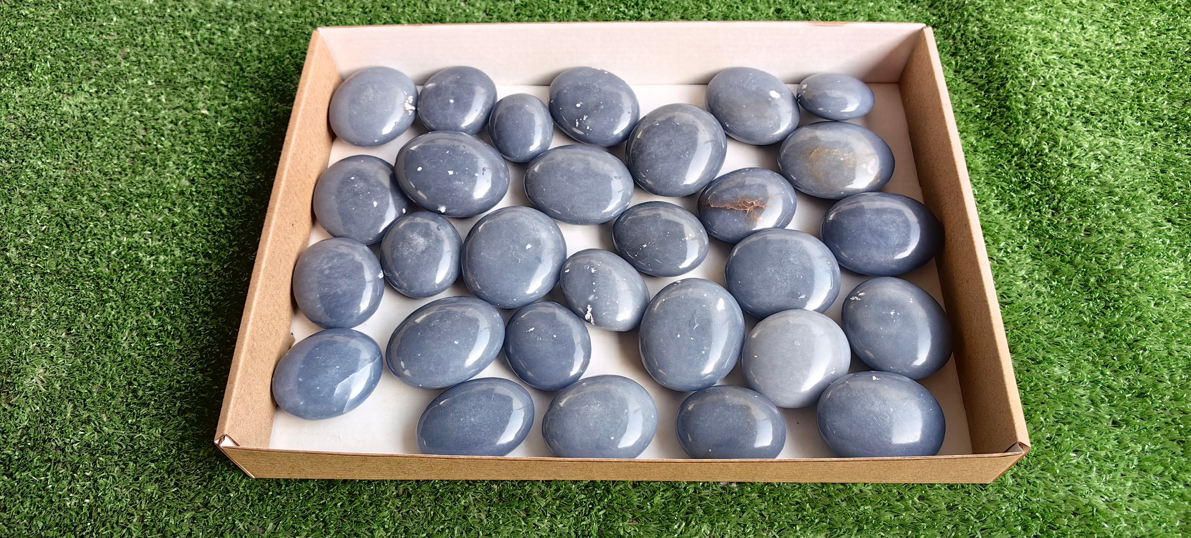 Lot 29 pcs Angelite Palm