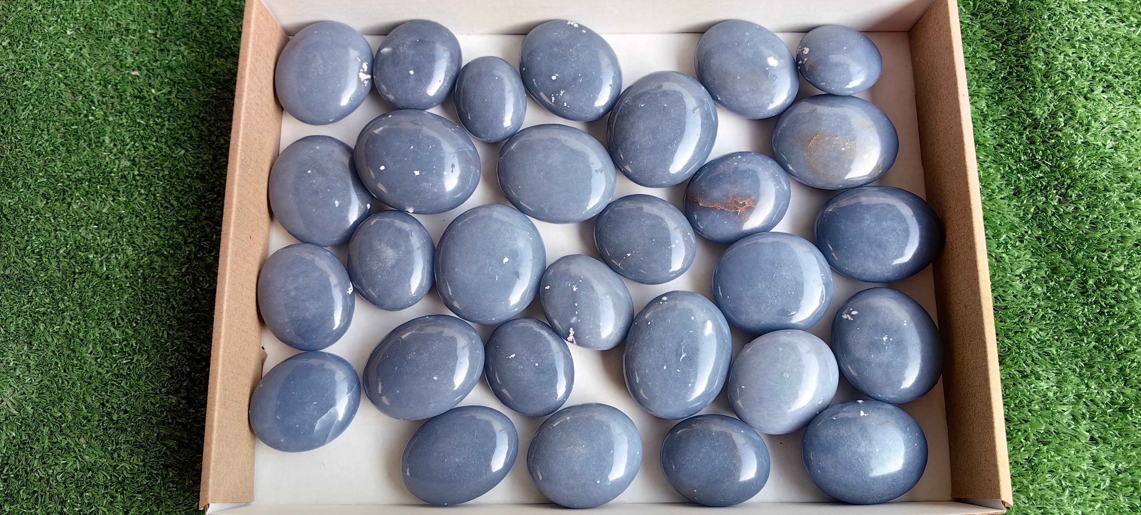 Lot 29 pcs Angelite Palm