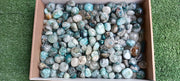 Lot 3 Kg Chrysocolla Quartz Tumbled